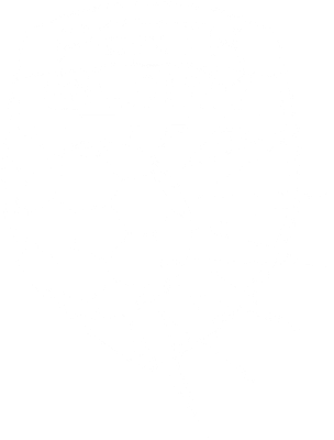 Perth Glory FC
